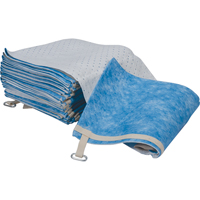 Balayage absorbant pour huile seulement Groupe Belzile Dickner