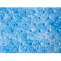 Balayage absorbant pour huile seulement Groupe Belzile Dickner