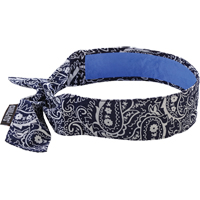 Chill-Its&reg; 6700CT Cooling Bandanas, Blue Groupe Belzile Dickner