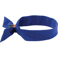 Chill-Its&reg; 6700FR Cooling Bandanas, Blue Groupe Belzile Dickner