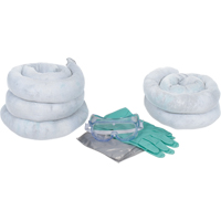 5-Gallon Replacement Kit, Oil Only Groupe Belzile Dickner