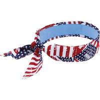 Chill-Its 6700CT Cooling Bandanas, Multi-Colour Groupe Belzile Dickner