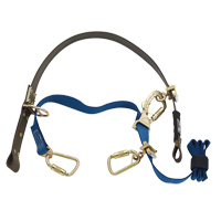 Cynch-Lok Web Pole Climbing Device Groupe Belzile Dickner