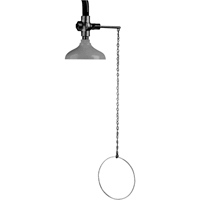 Lifesaver&reg; Emergency Overhead Showers, Ceiling-Mount Groupe Belzile Dickner