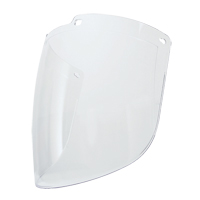 Turboshield Visor, Polycarbonate, Clear Tint Groupe Belzile Dickner