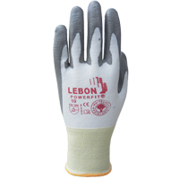 Gants r&eacute;sistants &agrave; la coupe PowerFit Lebon, Taille Grand/9, Calibre 13, Rev&ecirc;tement Polyur&eacute;thane, Enveloppe en Poly&eacute;thyl&egrave;ne, ASTM ANSI niveau A2/EN 388 niveau B Groupe Belzile Dickner