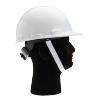 Dynamic 2 Point Hardhat Chinstrap Groupe Belzile Dickner