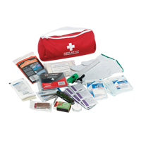 Trousse de premiers soins pour auto Dynamic, Dispositif m&eacute;dical Classe 1, Sac en nylon Groupe Belzile Dickner