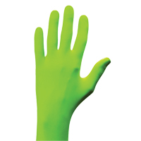 N-Dex&reg; Gloves, Small, Nitrile, 5-mil, Powder-Free, Green Groupe Belzile Dickner