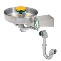 Axion&reg; Eye/Face Wash Station, Wall-Mount Installation, Stainless Steel Bowl Groupe Belzile Dickner