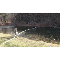 SpillBoa Bale, Oil Only, 25' L x 5" W, 28 gal. Absorbancy, 4 /Pack Groupe Belzile Dickner