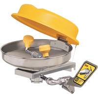 Poste de douche oculaire, Installation Montage mural, Bol Acier inoxydable Groupe Belzile Dickner