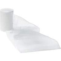 Dynamic Gauze Bandages, Roll, 15' L x 1" W, Sterile, Medical Device Class 1 Groupe Belzile Dickner