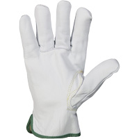 Gants r&eacute;sistant &agrave; la coupure et &agrave; l'arc &eacute;lectrique Endura, T-petit, 10" lo, 36 cal/cm², Niveau 3, NFPA 70E Groupe Belzile Dickner