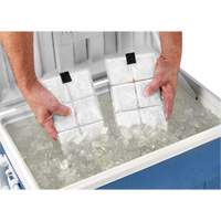 Chill-Its&reg; 6250 Phase Change Cooling Vest Packs Groupe Belzile Dickner