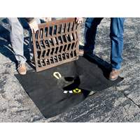 Storm Sentinel&reg; Catch Basin Insert, Sediment, 48" L x 36" W Groupe Belzile Dickner