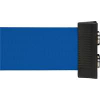 Wall Mount Barrier with Magnetic Tape, Steel, Screw Mount, 7', Blue Tape Groupe Belzile Dickner