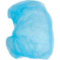 Disposable Hood, Polypropylene, Blue Groupe Belzile Dickner