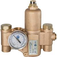 Navigator EFX20 Emergency Fixture Thermostatic Mixing Valve, 30 GPM Groupe Belzile Dickner