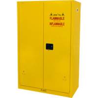 Flammable Storage Cabinet, 45 gal., 2 Door, 43" W x 65" H x 18" D Groupe Belzile Dickner