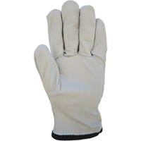 Cotton-Backed Drivers Gloves, Large, Grain Goatskin Palm SGU728 | Dickner Inc