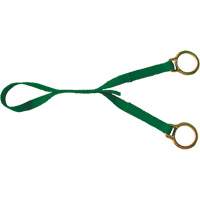 Double D Ring Extension, D-Ring, Temporary Use Groupe Belzile Dickner