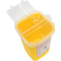 Sharps Container, 1 L Capacity Groupe Belzile Dickner
