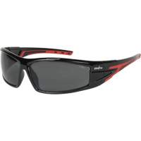 Z3300 Series Safety Glasses, Grey/Smoke Lens, Anti-Scratch/Polarized, ANSI Z87+/Meets/Exceeds CSA Z94.3 Groupe Belzile Dickner