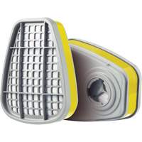 Cartridge, Gas/Vapour Cartridge, Multi-Gas/Vapour Groupe Belzile Dickner