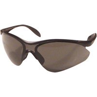 Miranda Safety Glasses, Grey Lens, Anti-Scratch, Meets/Exceeds CSA Z94.3 Groupe Belzile Dickner