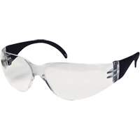 CeeTec Safety Glasses, Clear Lens, Anti-Fog/Anti-Scratch, Meets/Exceeds CSA Z94.3 Groupe Belzile Dickner