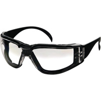 CeeTec DX Safety Glasses, Clear Lens, Anti-Fog/Anti-Scratch, Meets/Exceeds CSA Z94.3 Groupe Belzile Dickner