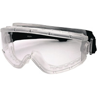 Cambridge Safety Goggles, Clear Lens, Anti-Fog, Indirect Vent Groupe Belzile Dickner
