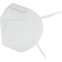 Disposable Respirator, N95, NIOSH Certified, One Size Groupe Belzile Dickner