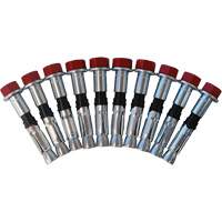 Jeu de boulons de rechange pour ancrages &agrave; anneau en D pour b&eacute;ton, Boulonn&eacute;, Usage Permanent/Temporaire Groupe Belzile Dickner