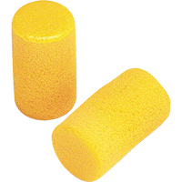 E-A-R Classic Earplugs, Pair - Pillow Pack, Large Groupe Belzile Dickner