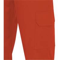 7765 Pantalon cargo de s&eacute;curit&eacute; haute visibilit&eacute; r&eacute;sistant aux arcs &eacute;lectriques FR-Tech 88/12, 30, x 32, Orange haute visibilit&eacute;, 10 cal/cm² Groupe Belzile Dickner