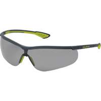 VS250 TruShield&reg; Wraparound Safety Glasses, Indoor/Outdoor Lens, Anti-Fog/Anti-Scratch, ANSI Z87+/Meets/Exceeds CSA Z94.3 Groupe Belzile Dickner