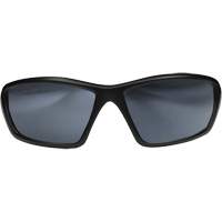 Robson Safety Glasses with Gasket, Silver Mirror Lens, Anti-Scratch/Polarized, ANSI Z87+/MCEPS GL-PD 10-12/Meets/Exceeds CSA Z94.3 Groupe Belzile Dickner