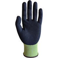Gants r&eacute;sistants &agrave; la coupe interm&eacute;diaires KO-400, Taille 6, Calibre 15, Rev&ecirc;tement Nitrile, Enveloppe en Nylon/PEHP/Spandex/Graph&egrave;ne, ASTM ANSI niveau A4/EN 388 niveau D Groupe Belzile Dickner