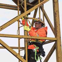 SA-54022-4 Longe &agrave; amortisseur de choc, 4', Point d'ancrage &agrave; Crochet d&eacute;chafaudage, Crochet mousqueton aux jambes, Polyester Groupe Belzile Dickner