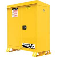 Outdoor Flammable Storage Cabinet, 30 gal., 2 Door, 43" W x 44" H x 18" D Groupe Belzile Dickner