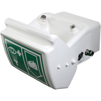 Douche oculaire/faciale, Installation Montage mural, Bol Plastique Groupe Belzile Dickner