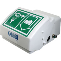 Douche oculaire/faciale, Installation Montage mural, Bol Plastique Groupe Belzile Dickner