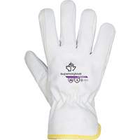 Endura&reg; 378WGKGTL Cut-Resistant Gloves, Size X-Small, Goatskin/TenActiv/Thinsulate Shell, ASTM ANSI Level A6 Groupe Belzile Dickner