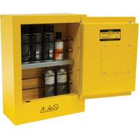 Mini Flammable Safety Cabinet, 2 Gal., 1 Door, 17" W x 22" H x 8" D Groupe Belzile Dickner