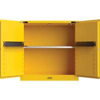 Utili-Guard+ Flammable Safety Cabinet, 30 gal., 1 Door, 43" W x 44" H x 22" D Groupe Belzile Dickner