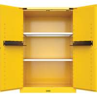 Utili-Guard+ Flammable Safety Cabinet, 45 gal., 2 Door, 43" W x 65" H x 22" D Groupe Belzile Dickner