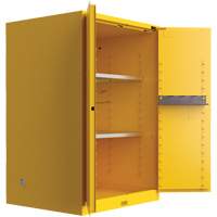Utili-Guard+ Flammable Safety Cabinet, 45 gal., 2 Door, 43" W x 65" H x 22" D Groupe Belzile Dickner