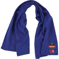 Chill-Its 6606FR FR Cooling Towel, Blue Groupe Belzile Dickner
